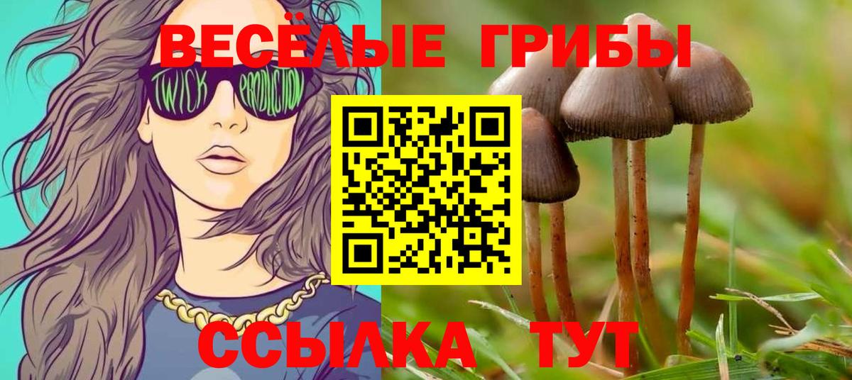 Галлюциногенные грибы мицелий Кувандык