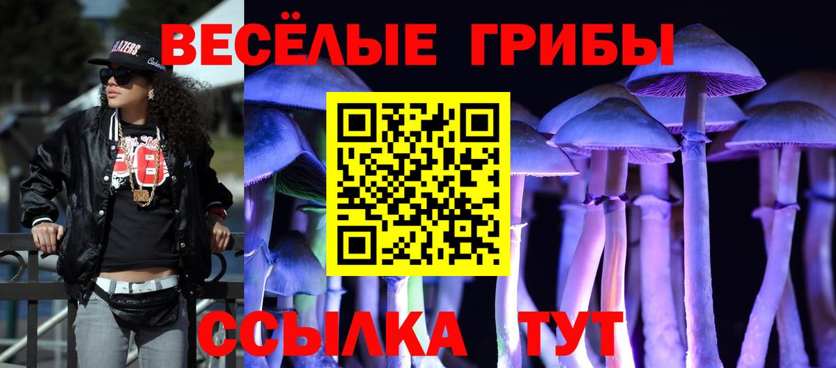 Кувандык  Галлюциногенные грибы Magic Shrooms  Вход с VPN  Галлюциногенные грибы мухоморы 